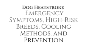 Dog Heatstroke