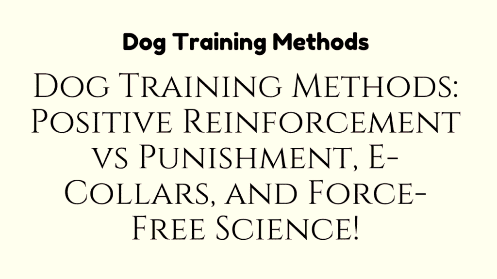 Dog Training Methods