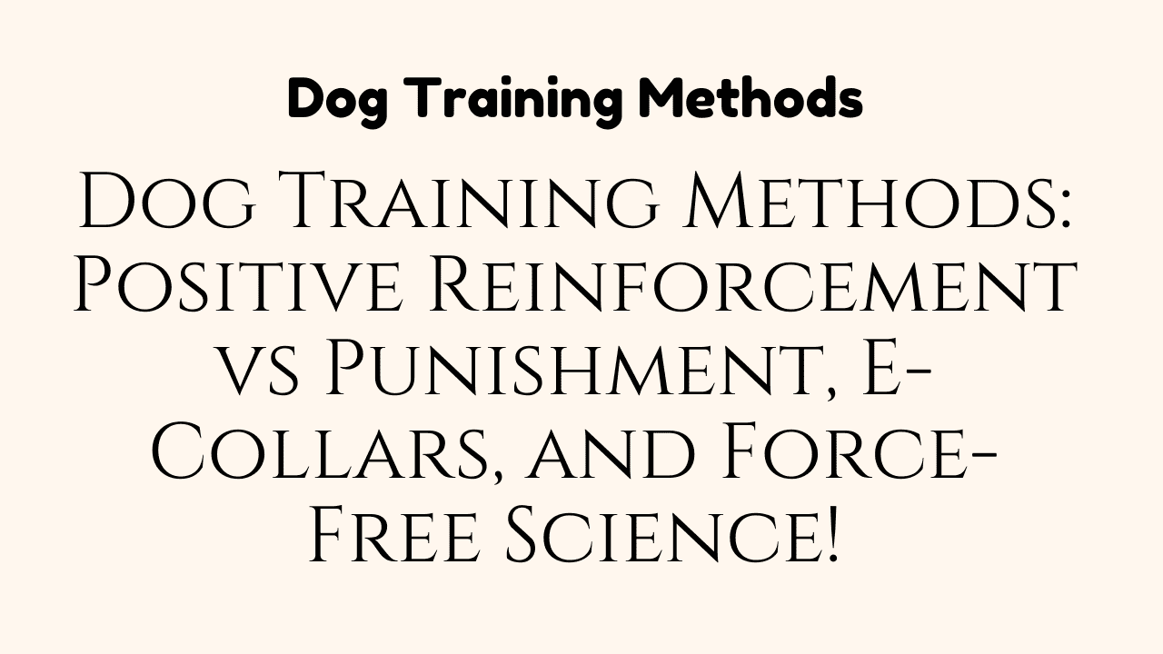 Dog Training Methods