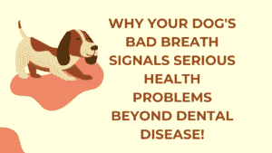 Dog's Bad Breath