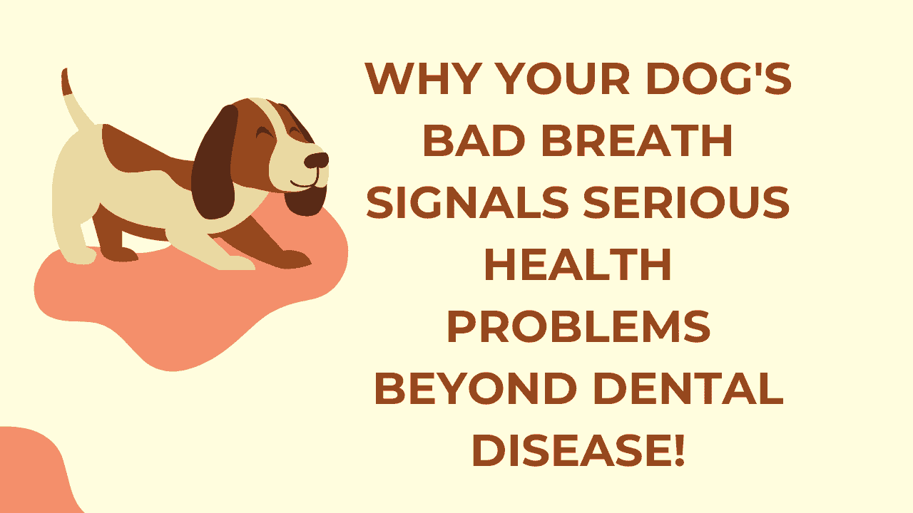 Dog's Bad Breath