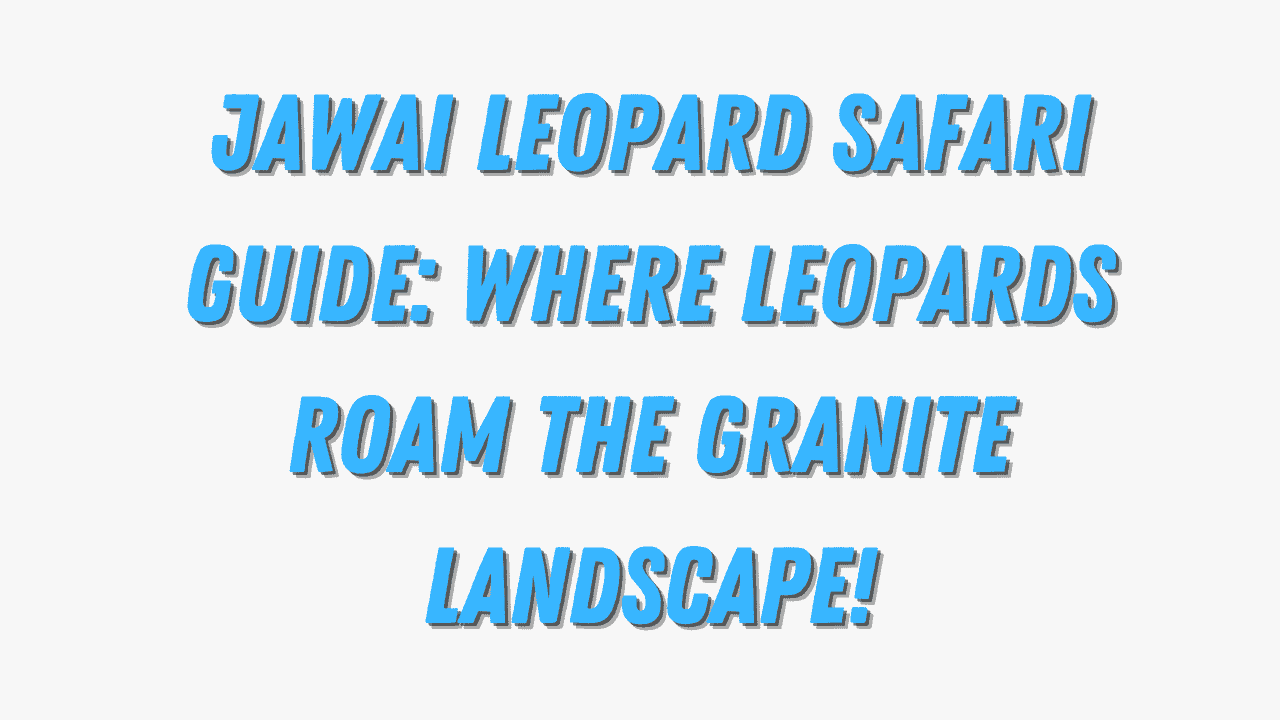 Jawai Leopard Safari Guide