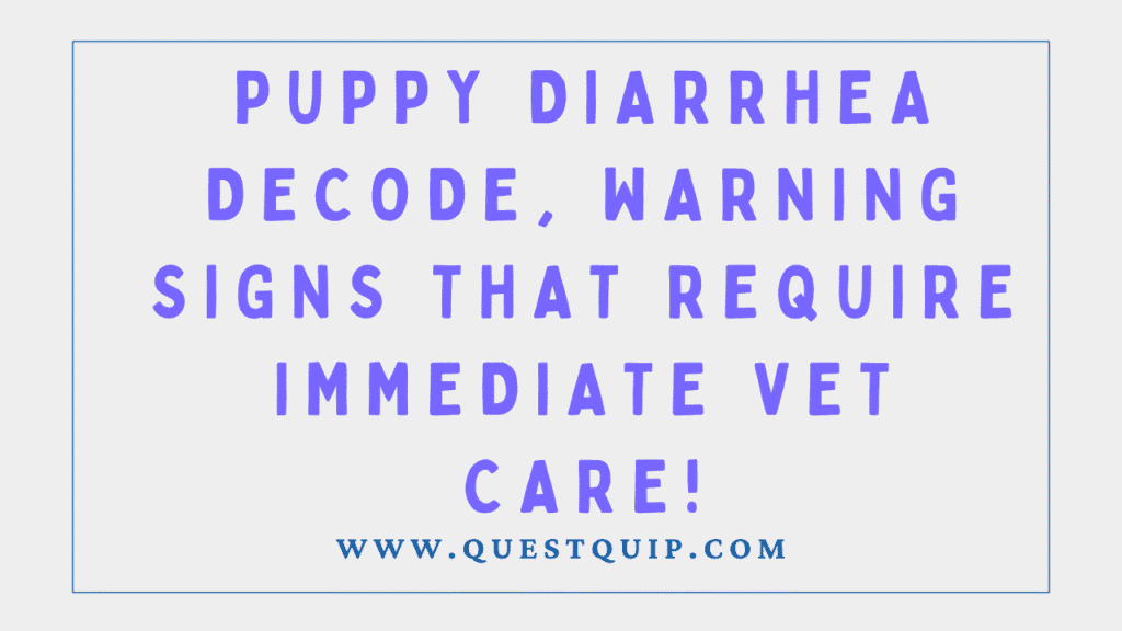 Puppy Diarrhea Decoded