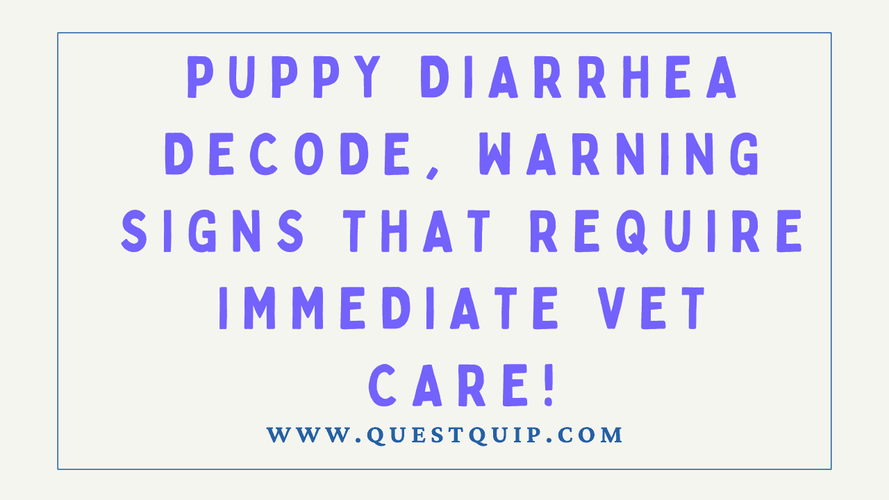 Puppy Diarrhea Decoded