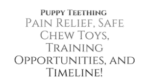 Puppy Teething