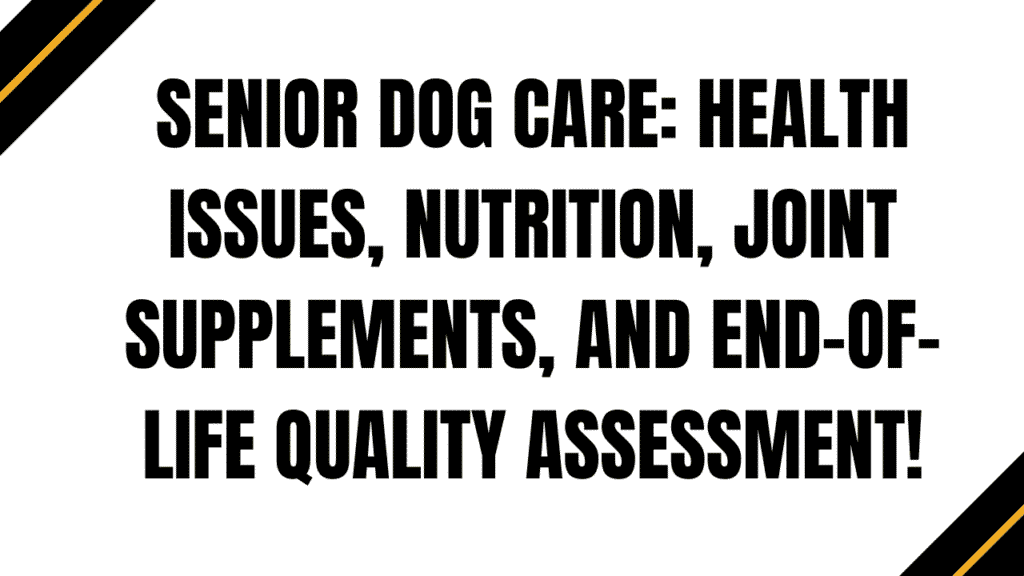 Senior Dog Care