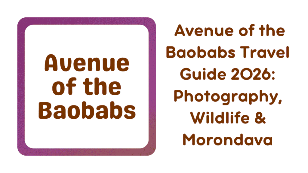 Baobabs Travel Guide