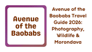 Baobabs Travel Guide