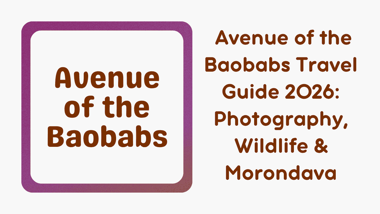 Baobabs Travel Guide