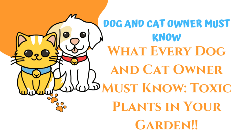 Dog and Cat Owner Must Know