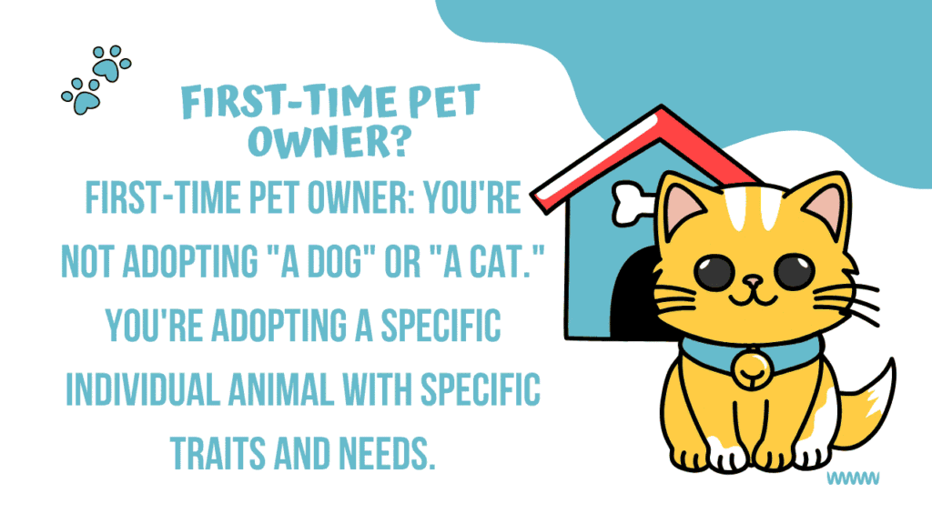 First-Time Pet Owner? 10 Questions You Need to Ask Before Adopting 1 First-Time Pet Owner?