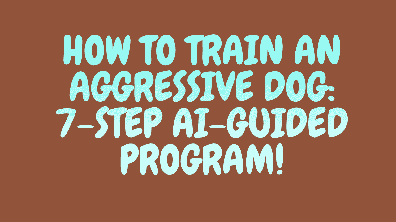 How to Train an Aggressive Dog