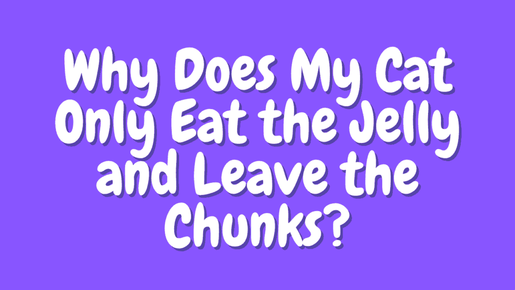 Why Does My Cat Only Eat the Jelly