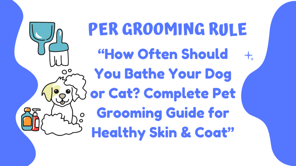 How Often Should You Bathe Your Dog or Cat? A Grooming Guide 1 Pet Grooming Guide