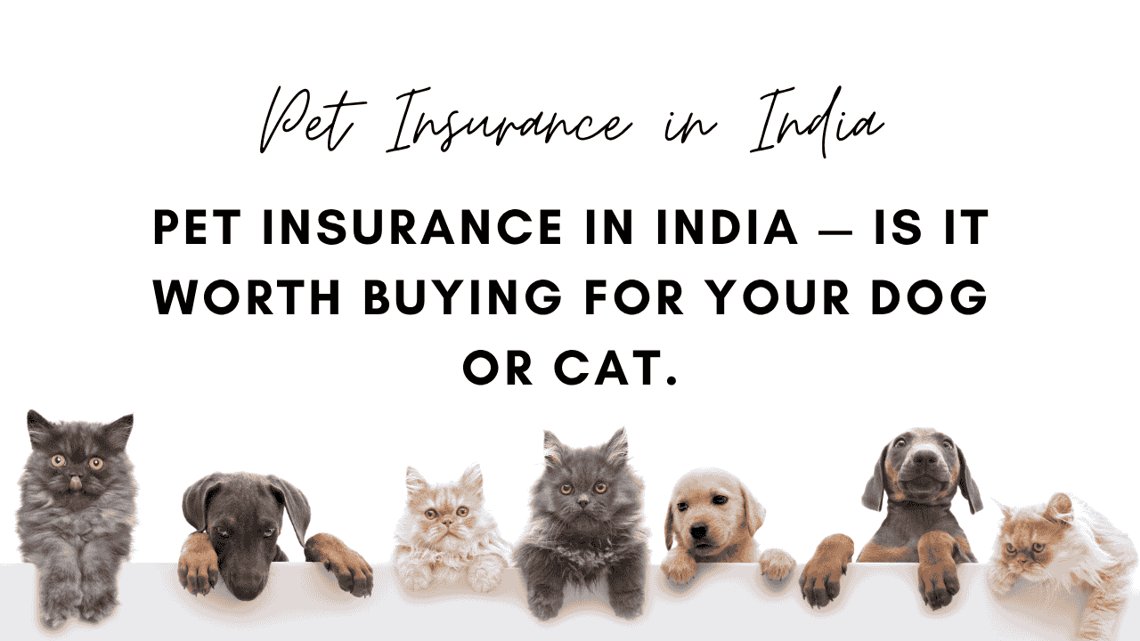 Pet Insurance in India
