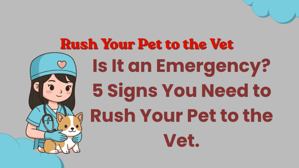 Rush Your Pet to the Vet