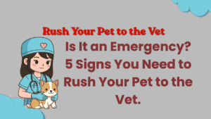 Rush Your Pet to the Vet