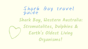 Shark Bay travel guide