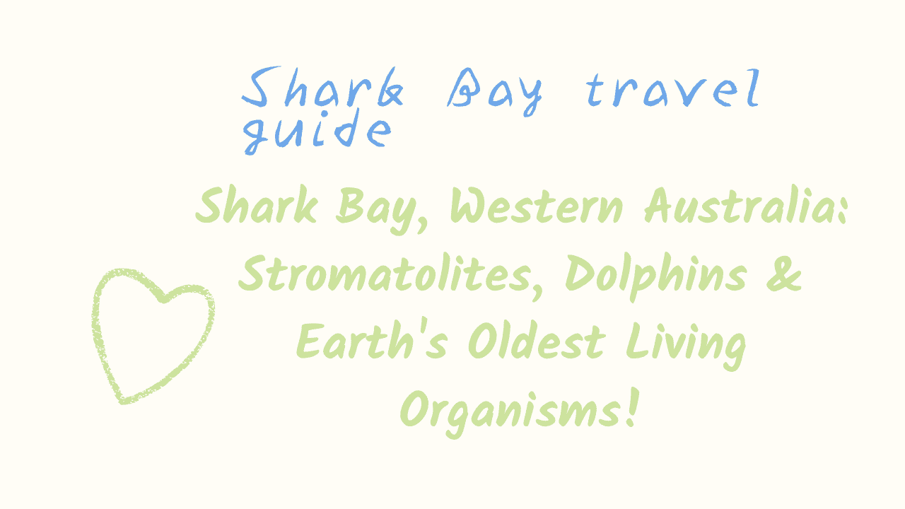 Shark Bay travel guide