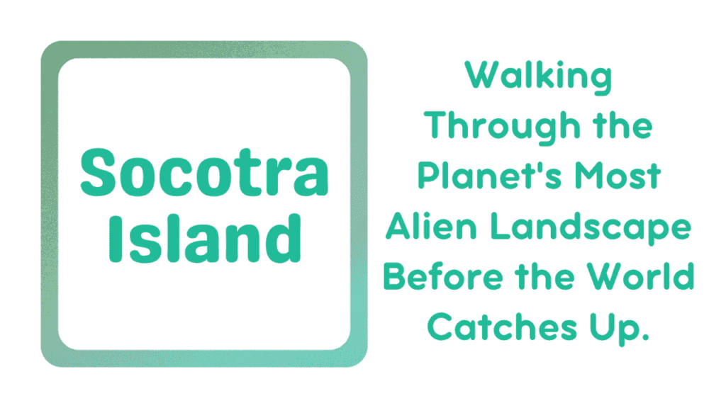 Socotra Island