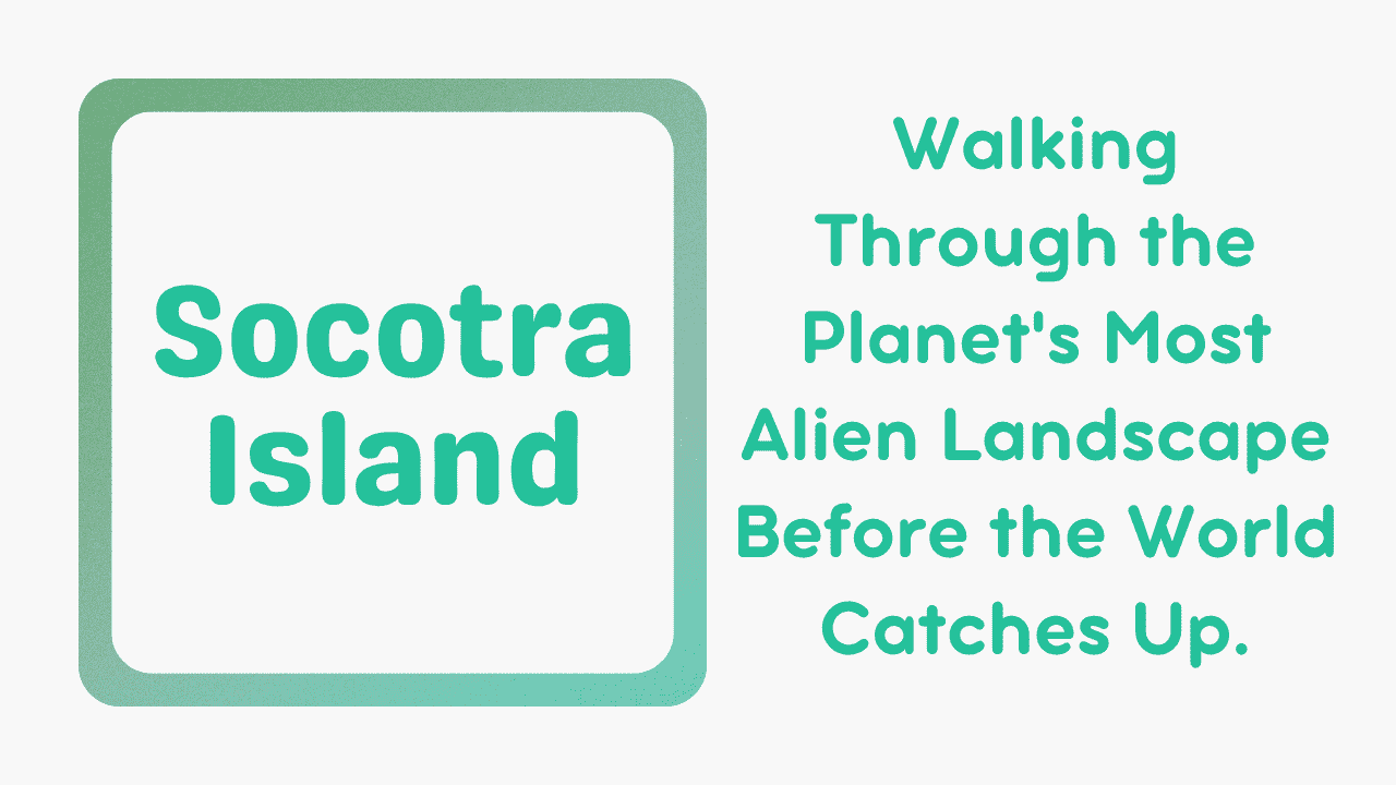 Socotra Island