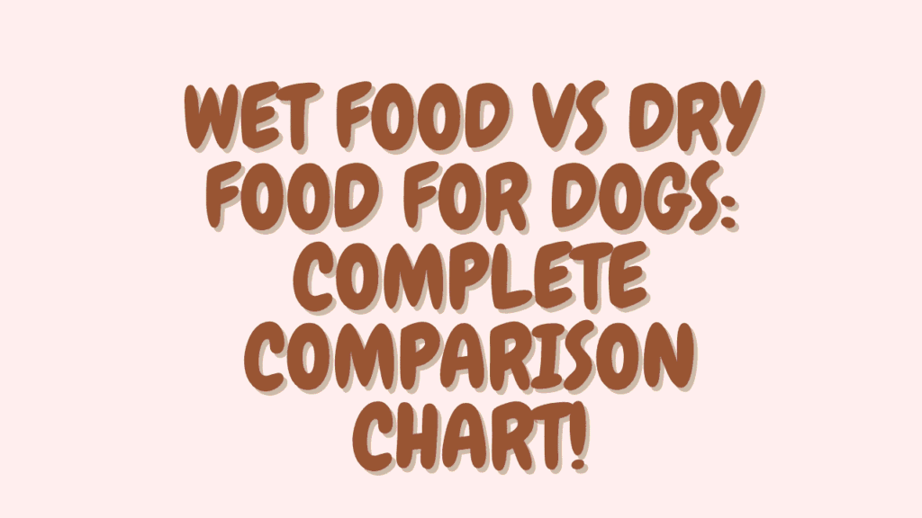 Wet Food vs Dry Food for Dogs