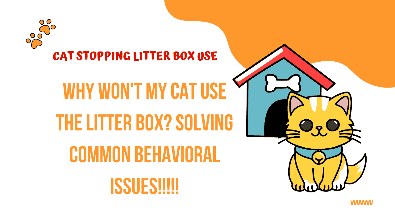 cat stopping litter box use