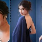 sara arjun biography