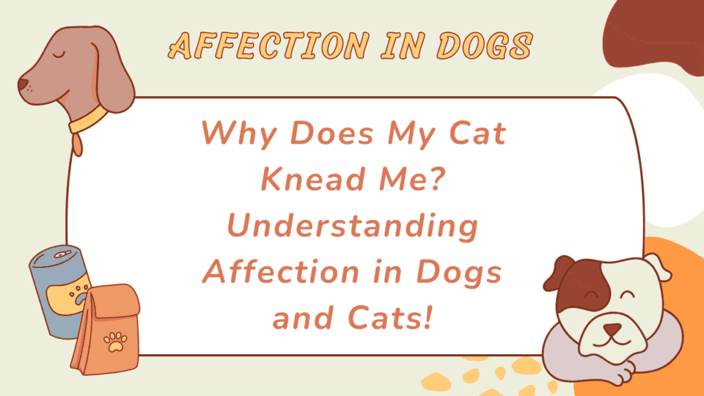 Why Does My Cat Knead Me? Understanding Affection in Dogs and Cats 1 Affection in Dogs