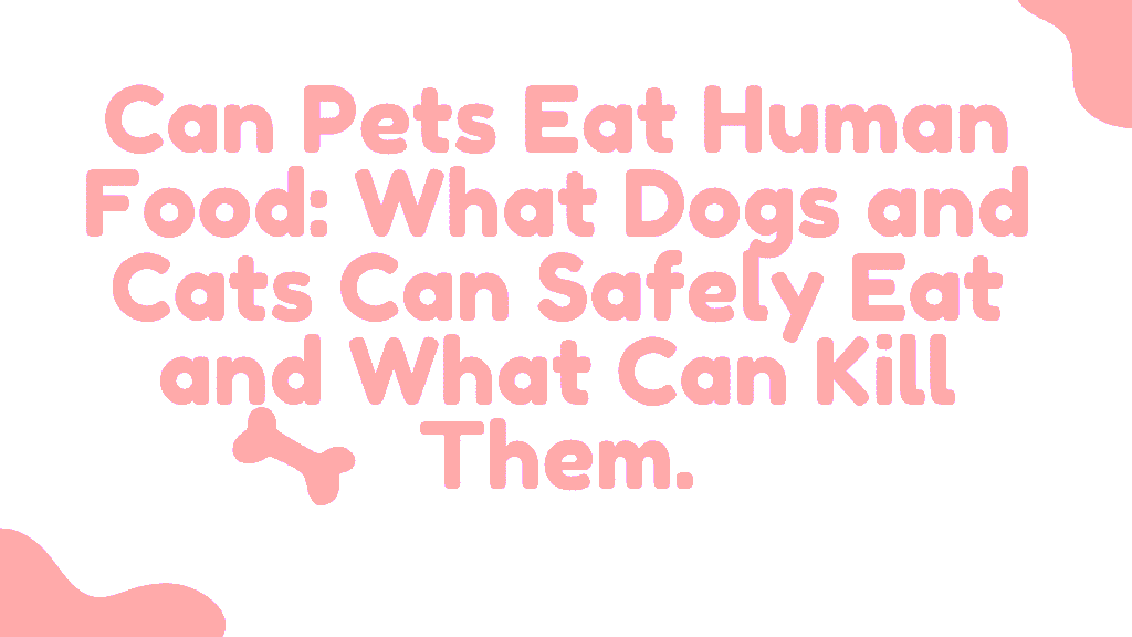 Can Pets Eat Human Food: What Dogs and Cats Can Safely Eat and What Can Kill Them 1 Can Pets Eat Human Food