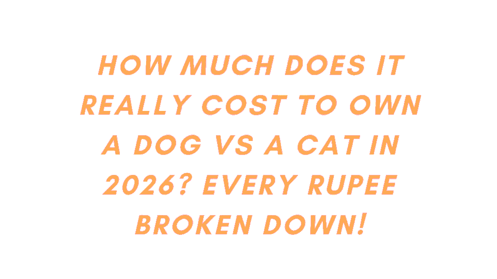 How Much Does It Really Cost to Own a Dog vs a Cat in 2026? Every Rupee Broken Down 1 Cost to Own a Dog