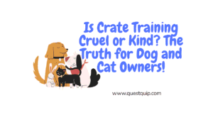 Is Crate Training Cruel or Kind? The Truth for Dog and Cat Owners 46 Crate Training