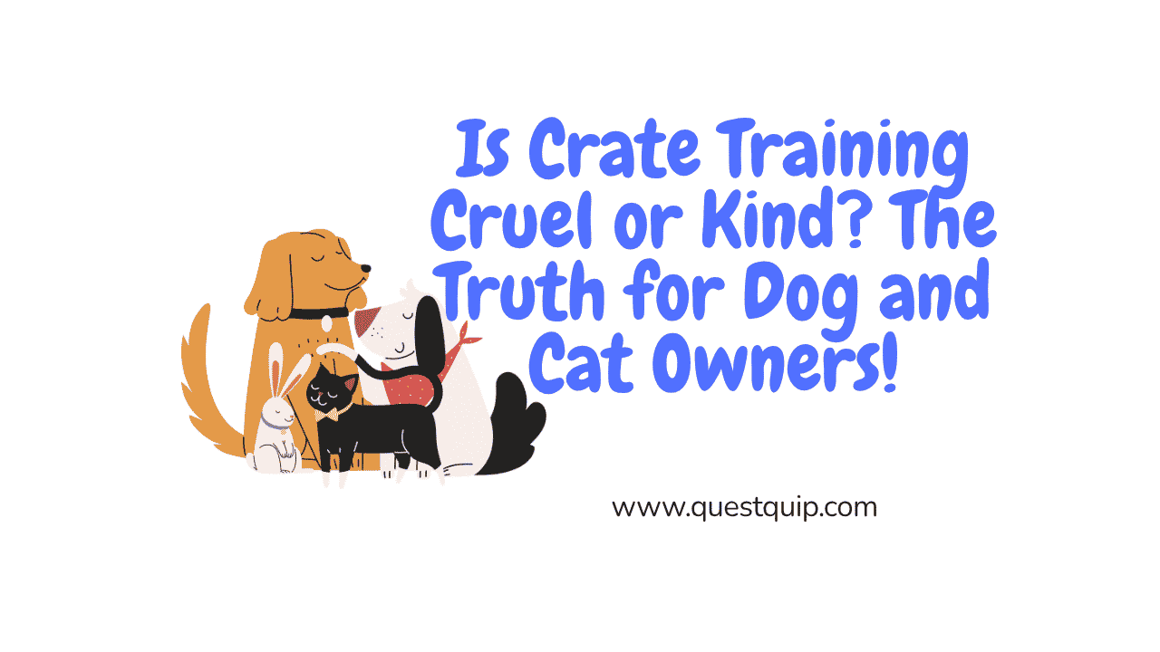Is Crate Training Cruel or Kind? The Truth for Dog and Cat Owners 1 Crate Training