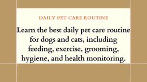 Daily Pet Care Routine