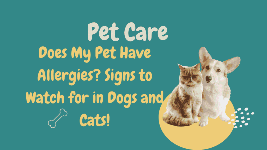 Does My Pet Have Allergies? Signs to Watch for in Dogs and Cats 1 Does My Pet Have Allergies