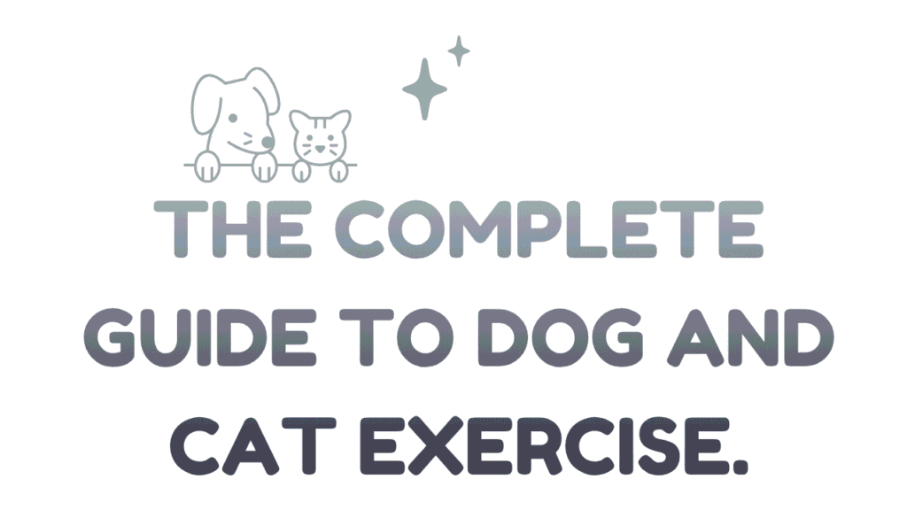 Dog and Cat Exercise