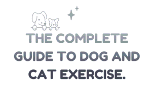 Dog and Cat Exercise