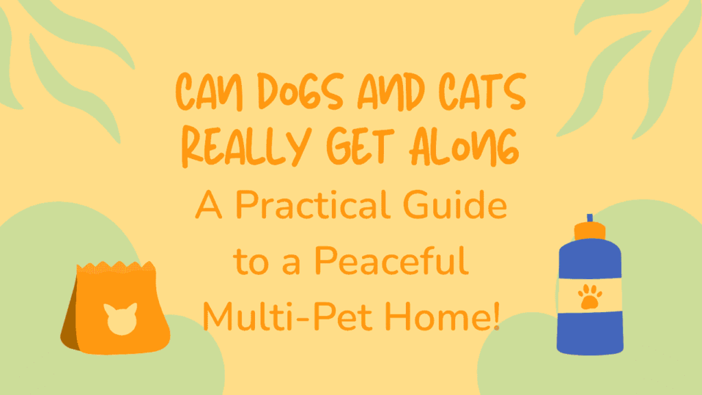 Can Dogs and Cats Really Get Along? A Practical Guide to a Peaceful Multi-Pet Home 1 Dogs and Cats