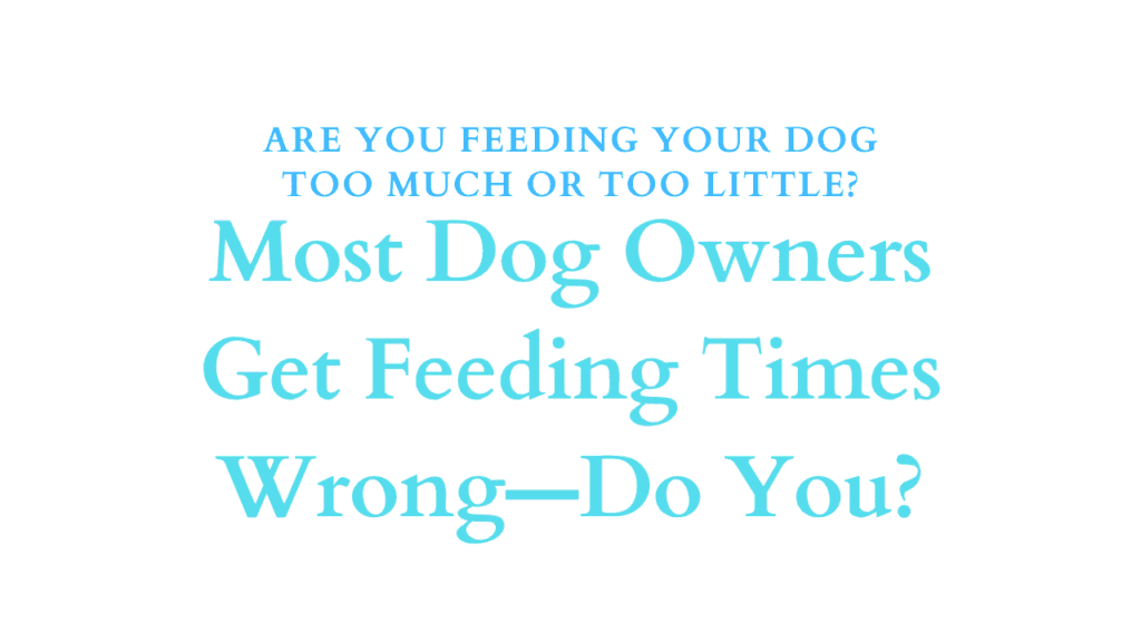 Feeding Your Dog