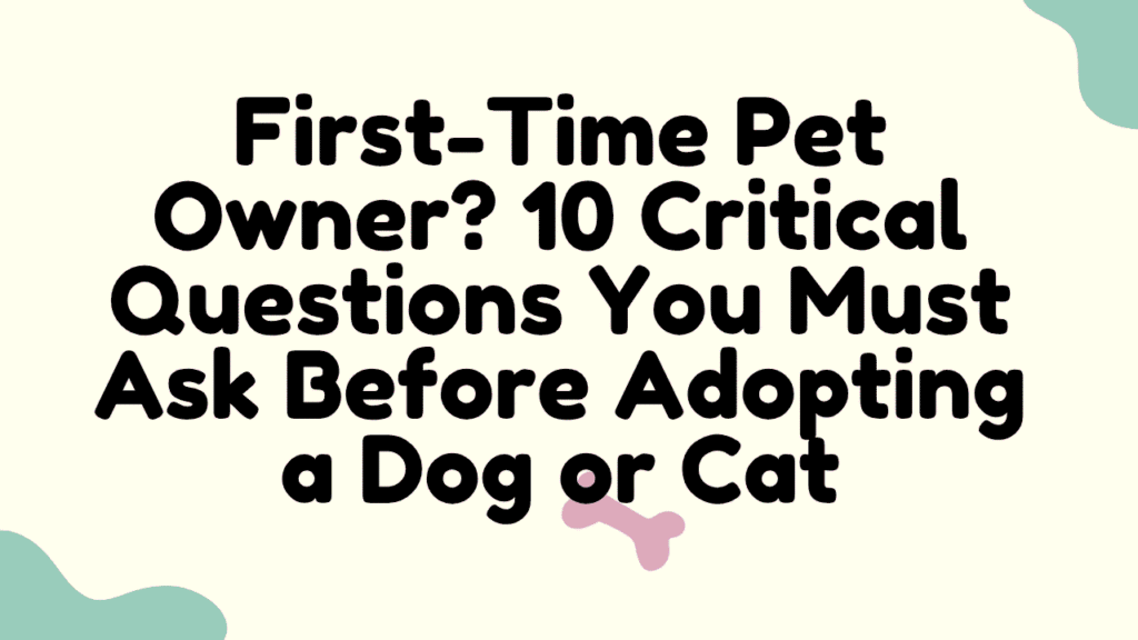 First-Time Pet Owner? 10 Critical Questions You Must Ask Before Adopting a Dog or Cat 1 First-Time Pet Owner