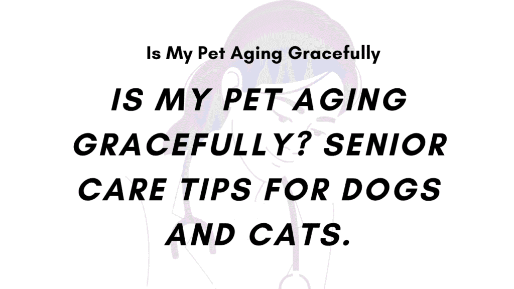 Is My Pet Aging Gracefully? Senior Care Tips for Dogs and Cats 1 Is My Pet Aging Gracefully