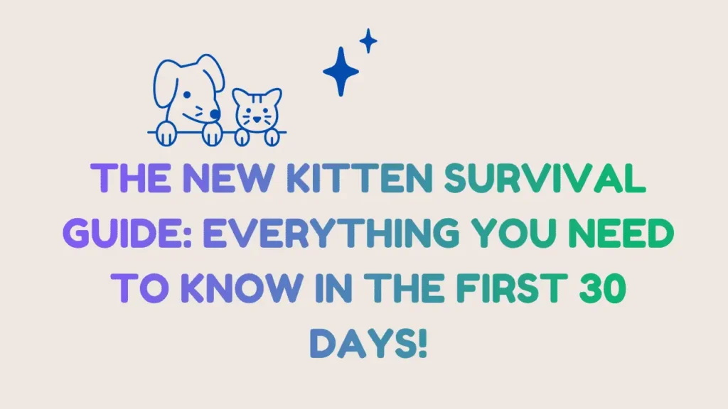 Kitten Survival Guide