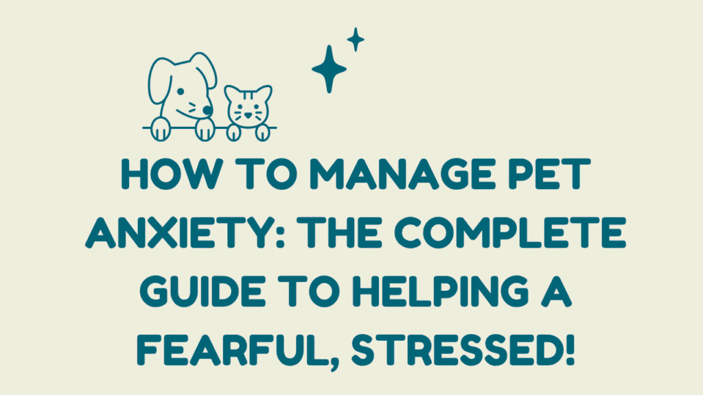 Manage Pet Anxiety