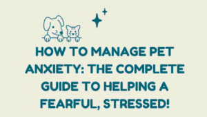 Manage Pet Anxiety