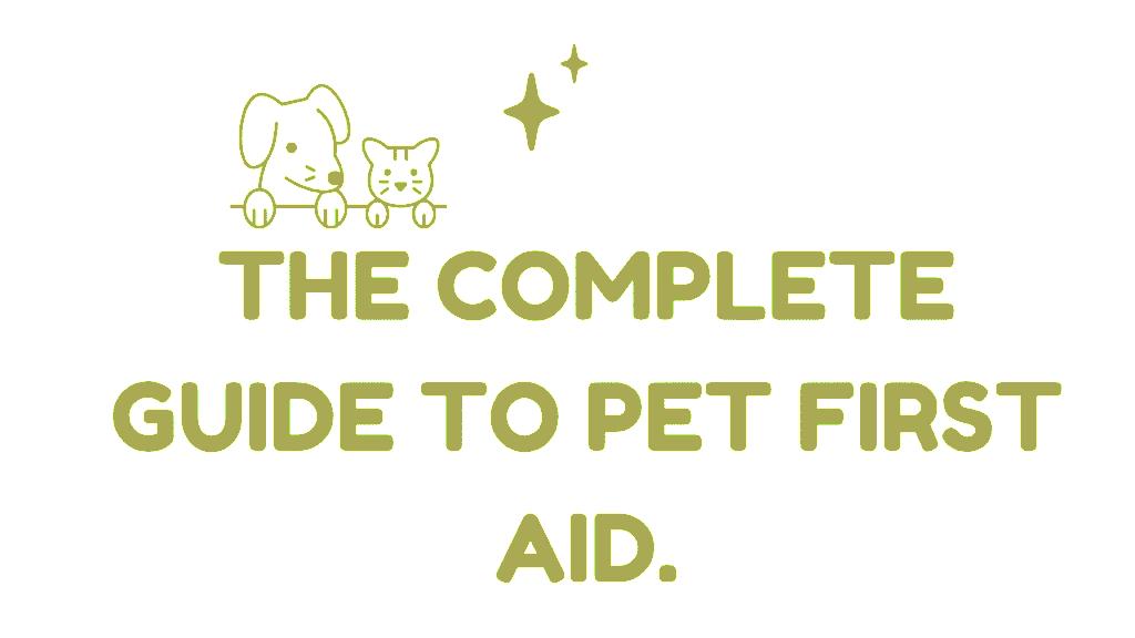 Pet First Aid