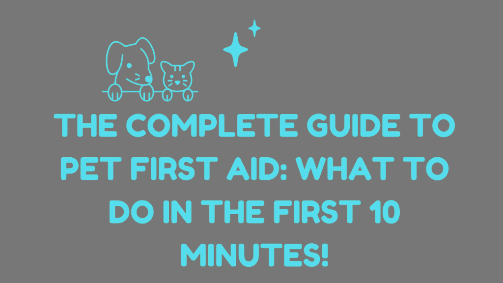 Pet First Aid