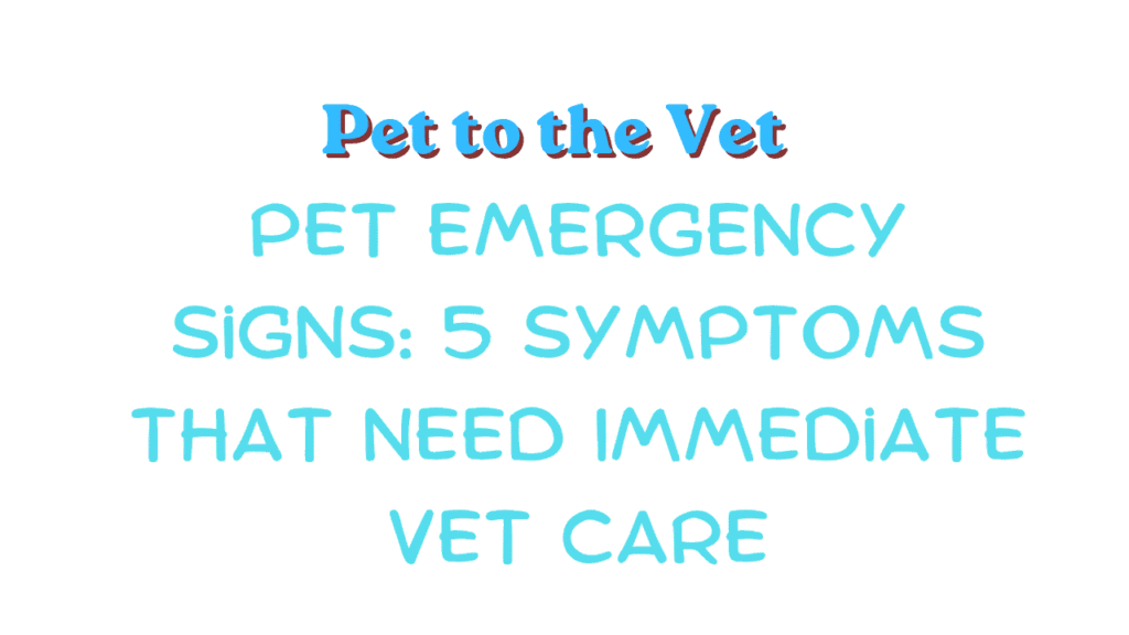 Pet to the Vet