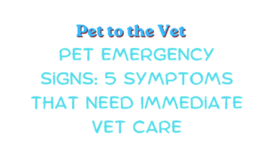 Pet to the Vet