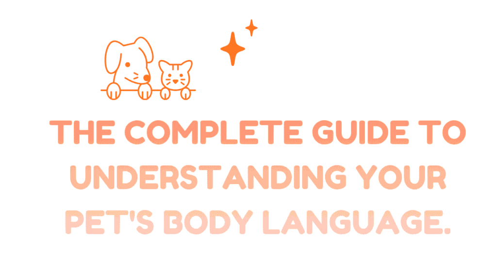 Pet's Body Language