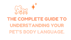 Pet's Body Language